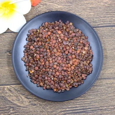 Suan Zao Ren (semi di giuggiolo) Fornitore & Produttore Ingrosso (3)