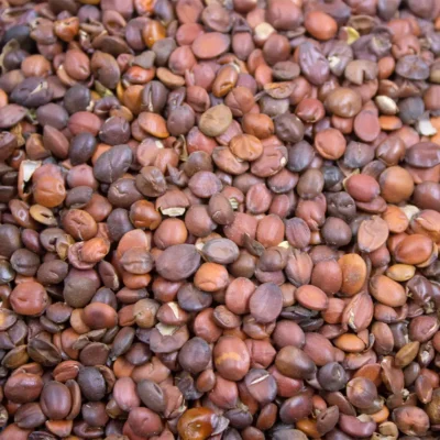 Suan Zao Ren (semi di giuggiolo) Fornitore & Produttore Ingrosso (4)