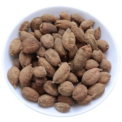 Tsaoko (Amomum tsao-ko) Fabricante de especias de primera calidad (3)