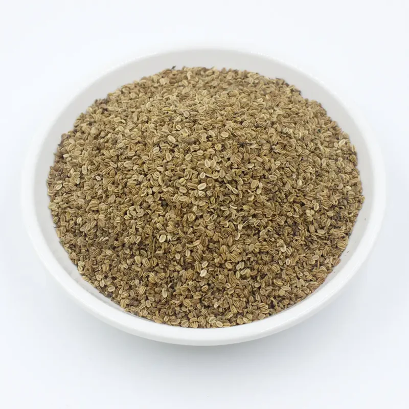 Commercio all'ingrosso Cnidium Seed (She Chuang Zi) Bulk Supply da GuoCao (8)