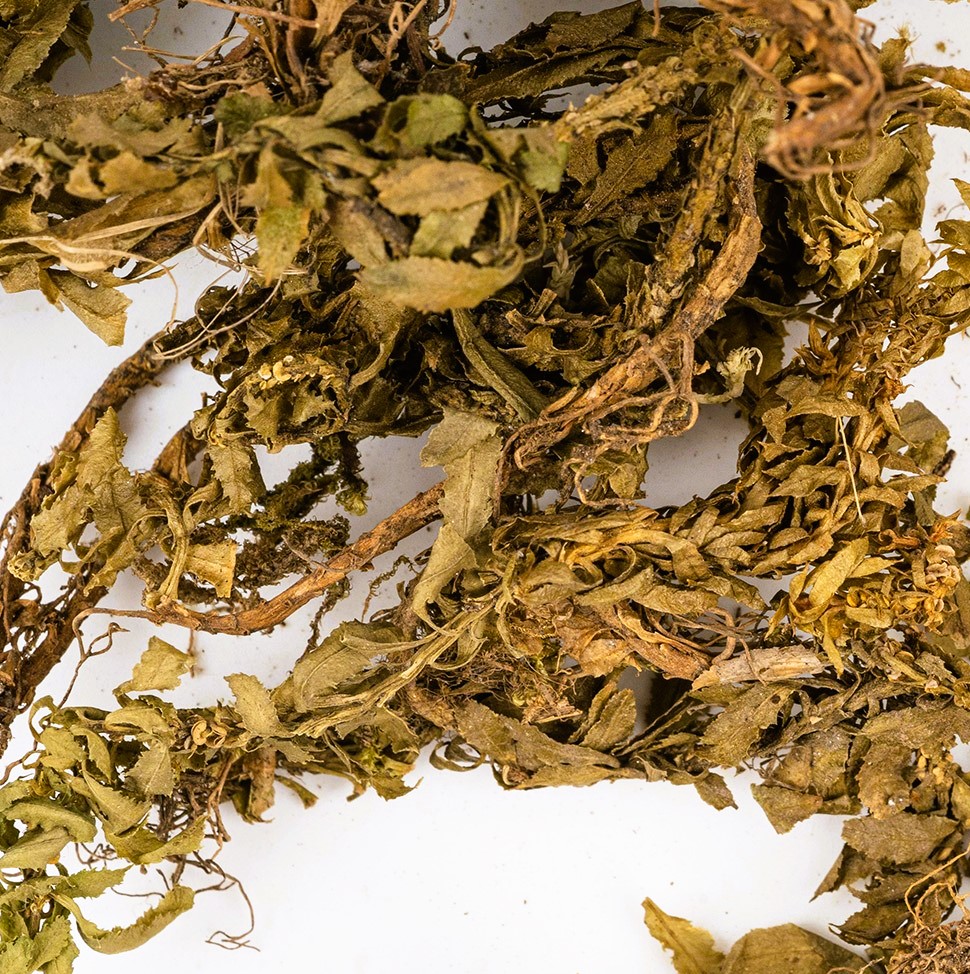 China Custom Herbal Medicine Wholesale Supplier Your Gateway to Premium Herbal Solutions 3
