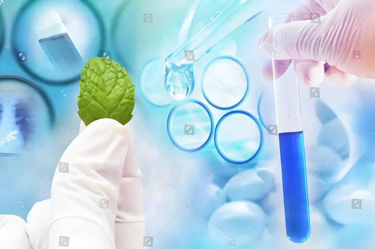 Dostawca materiałów ziołowych dla fabryk farmaceutycznych - praktyczny przewodnik 2