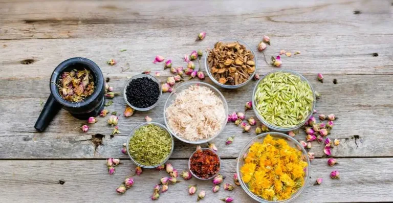 Compra al por mayor de productos a base de plantas: Por qué es un negocio inteligente para usted 3 Venta al por mayor de productos a base de plantas 4