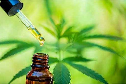 Approvvigionamento di erbe sfuse per i produttori di marchi privati 5