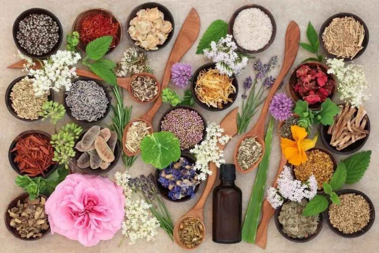 Distribuidor de productos a base de plantas a granel para fábricas 1 2