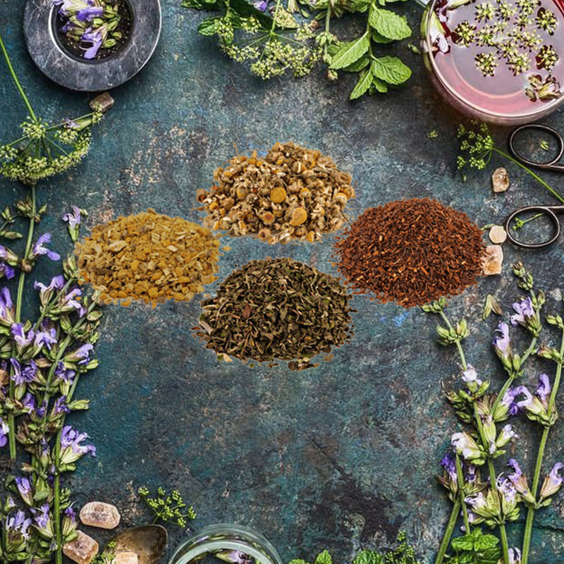 Distributeur de produits phytothérapeutiques en vrac pour les usines 3 Distributeur de produits phytothérapeutiques en vrac pour les usines 2