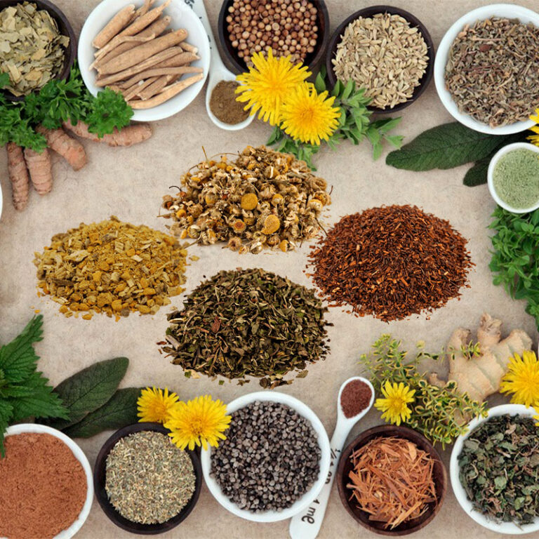 Distribuidor de productos a base de plantas a granel para fábricas 5