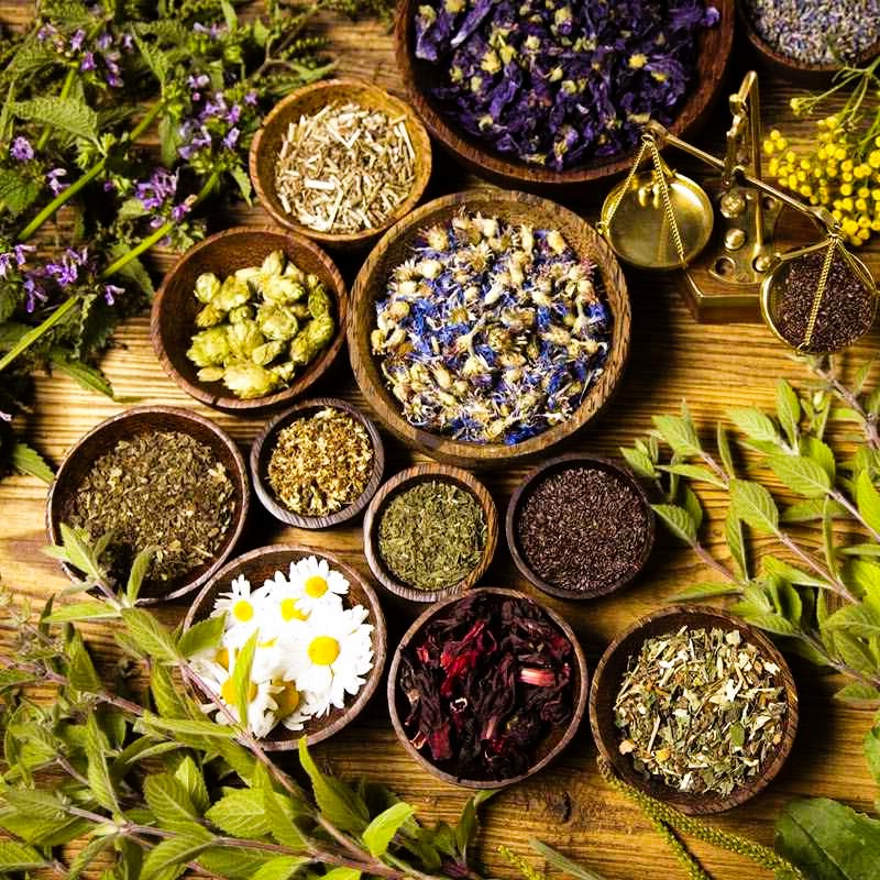 Produits à base de plantes sous marque de distributeur pour les grossistes 2 Produits à base de plantes sous marque de distributeur pour les grossistes 2