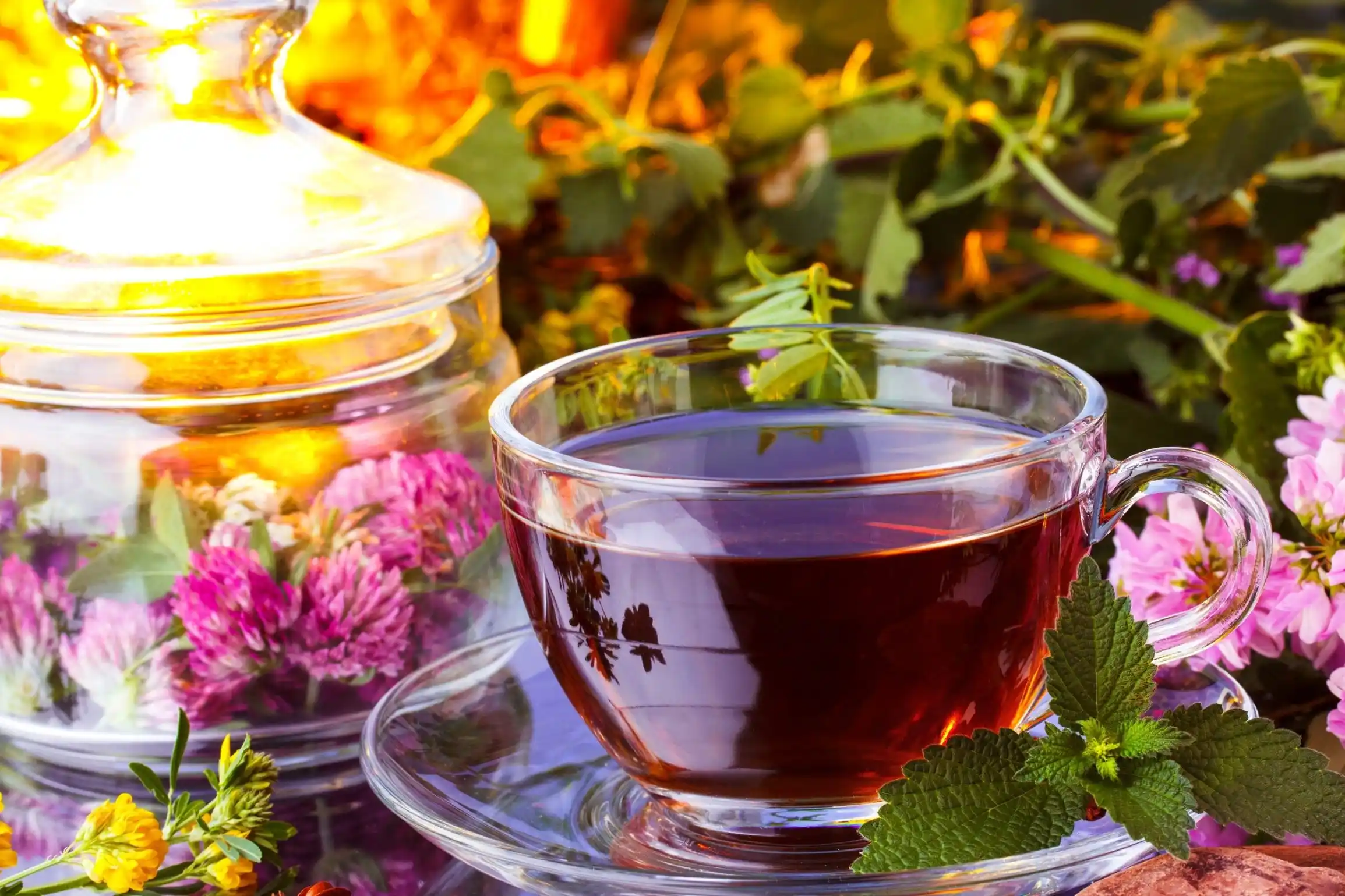 Conseils sur la taille de la mouture pour TeaInfusion OEM 4