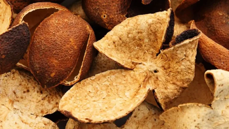 Buccia di mandarino invecchiata (Chen Pi): più è vecchia, meglio è. 5 Buccia di mandarino invecchiata Chen Pi Più vecchio è, meglio è. 1