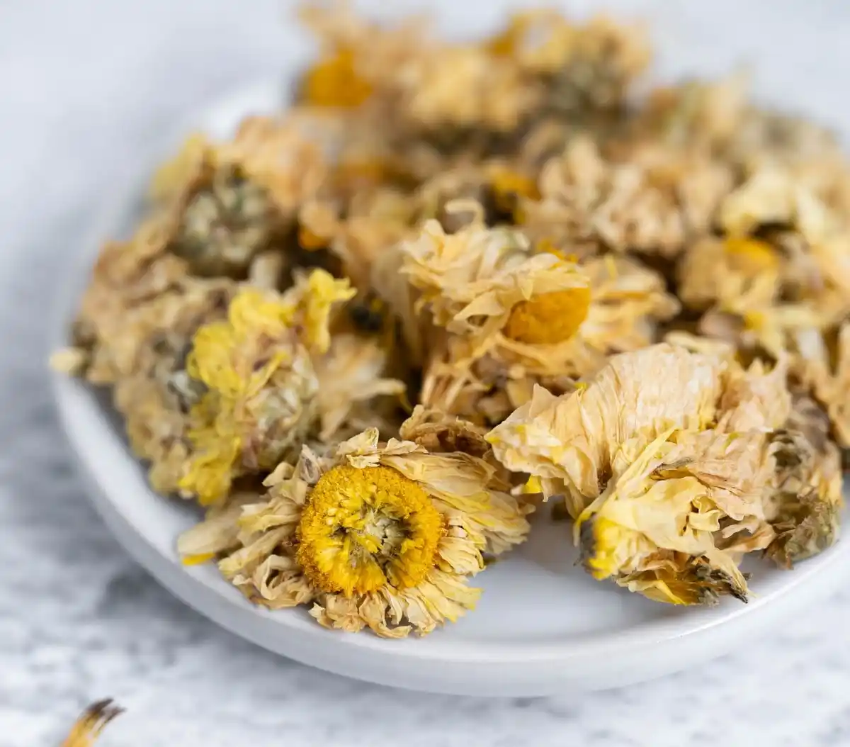 Té de crisantemo: Láminas de crisantemo blanco frente a láminas de crisantemo amarillo 2 Té de crisantemo Blanco vs. Amarillo Rodajas de crisantemo 3