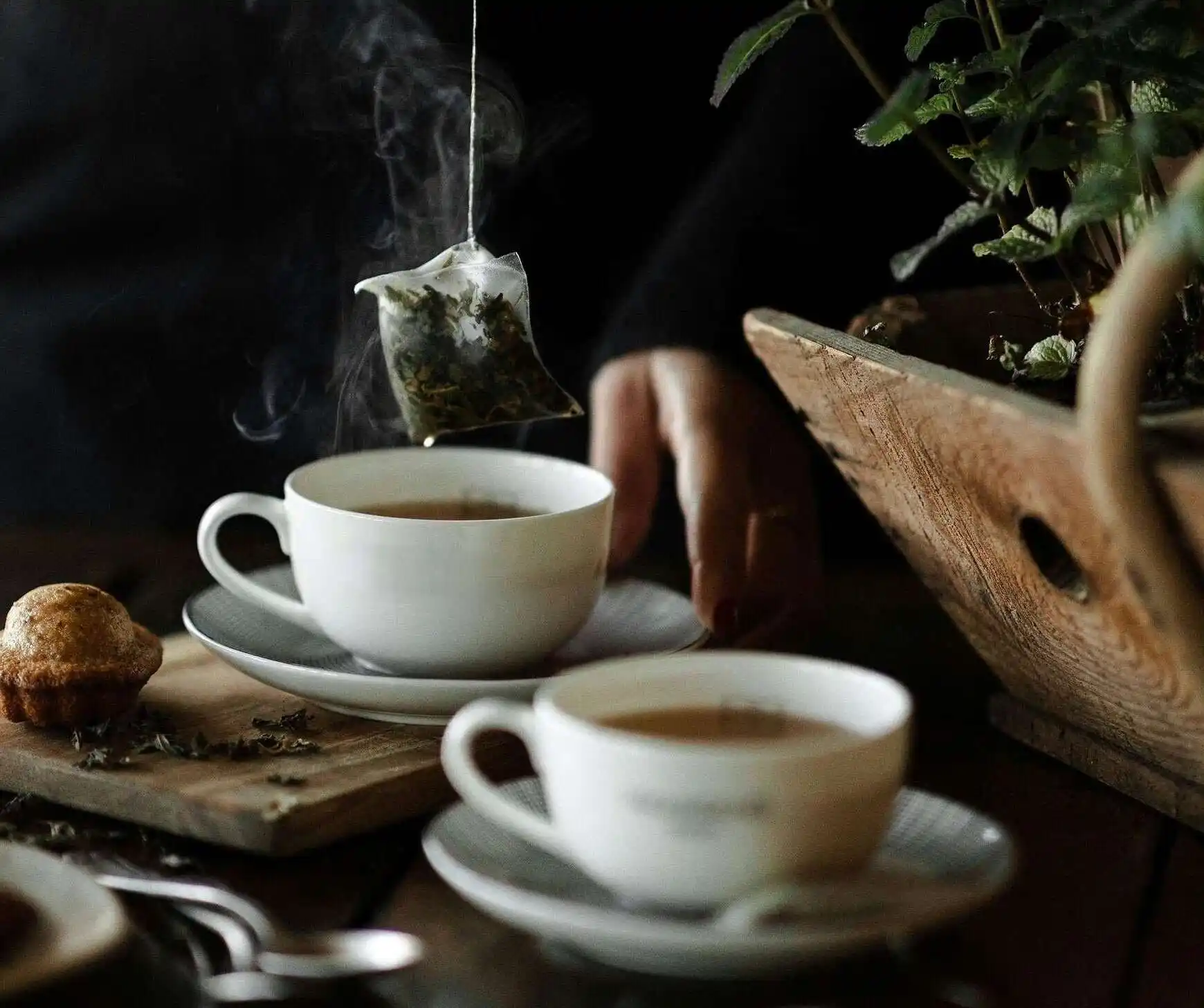 De las rodajas de hierbas a las bolsitas de té: Un desglose completo del proceso de fabricación 1 De las rodajas de hierbas a las bolsitas de té Un desglose completo del proceso de fabricación 2 2