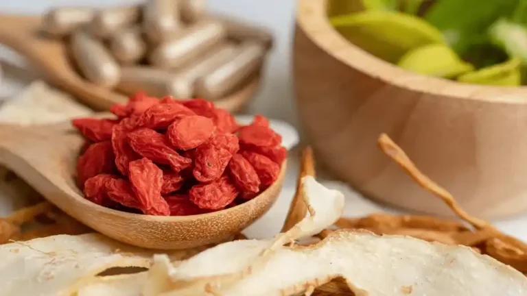 How to Choose a Chinese Herb Slices Supplier Factory Direct vs Trading Company 4
