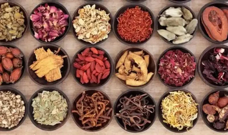 Frutta e semi medicinali cinesi (ad esempio bacche di Goji, semi di Cassia) Tendenze nel settore degli integratori alimentari 11 imgi 241 20171002 Medicina tradizionale cinese erbe shutterstock 34qd39xaxuwiwxw2tgi29s 2
