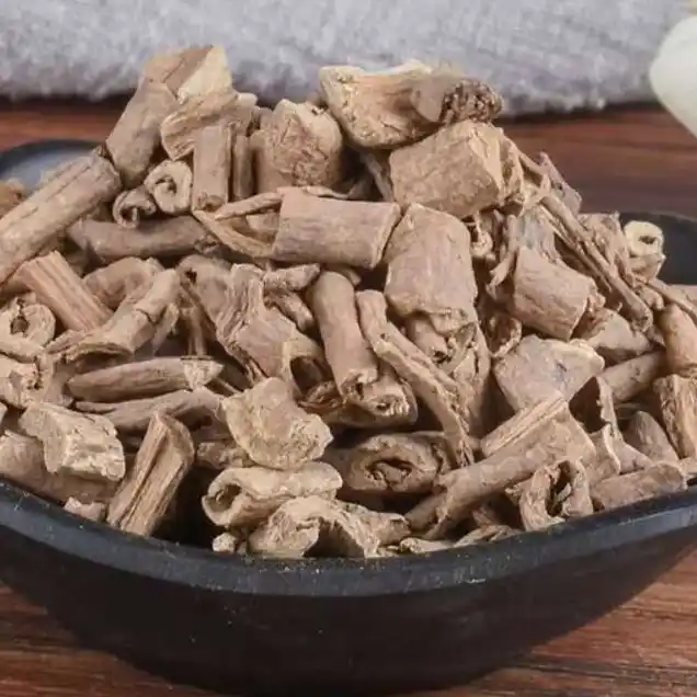 Écorce d'acanthopanax (Wu Jia Pi) : Soulagement des rhumatismes 2 Acanthopanax Bark Wu Jia Pi Soulagement des rhumatismes 1