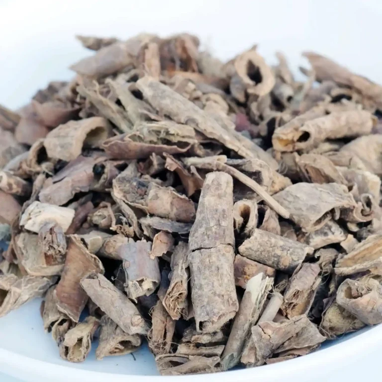 Kora Acanthopanax (Wu Jia Pi): Łagodzenie reumatyzmu 12 Acanthopanax Bark Wu Jia Pi Ulga w reumatyzmie 3