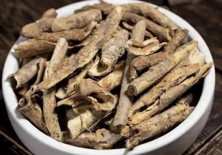 Écorce d'Acanthopanax (Wu Jia Pi) : Soulagement des rhumatismes 3 Acanthopanax Bark Wu Jia Pi Soulagement des rhumatismes 4