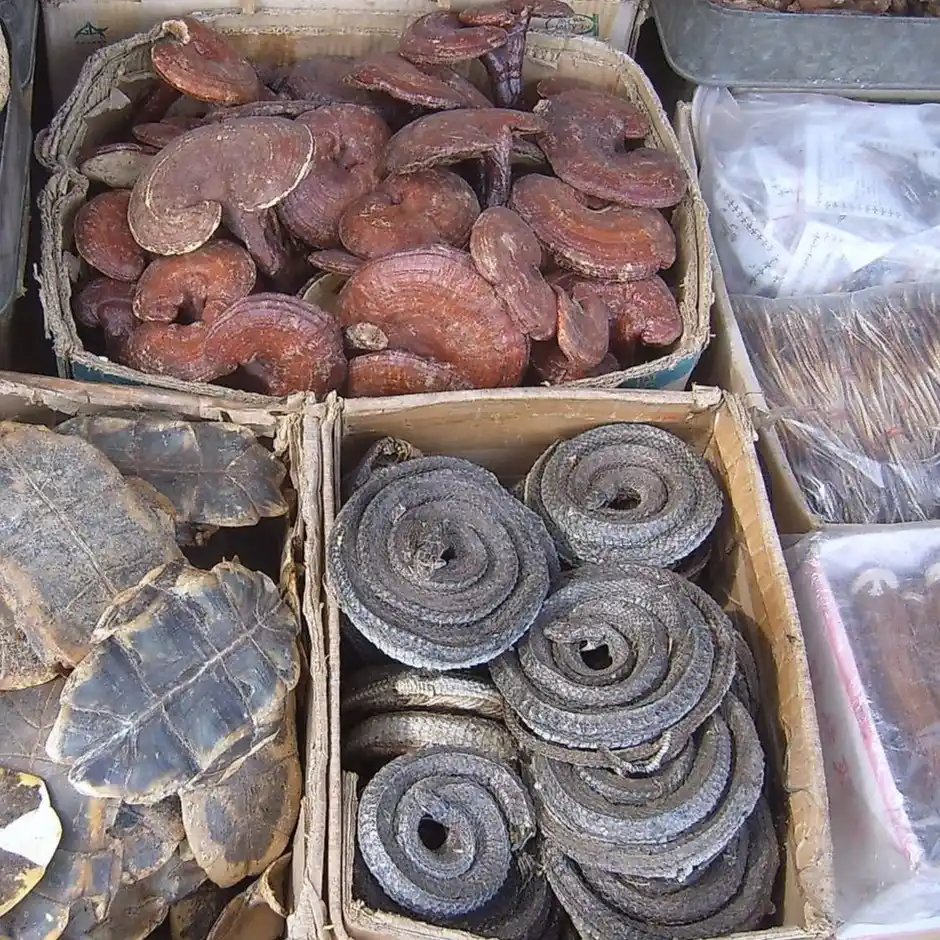 Animal & Mineral TCM compliance pack checklist for faster market access