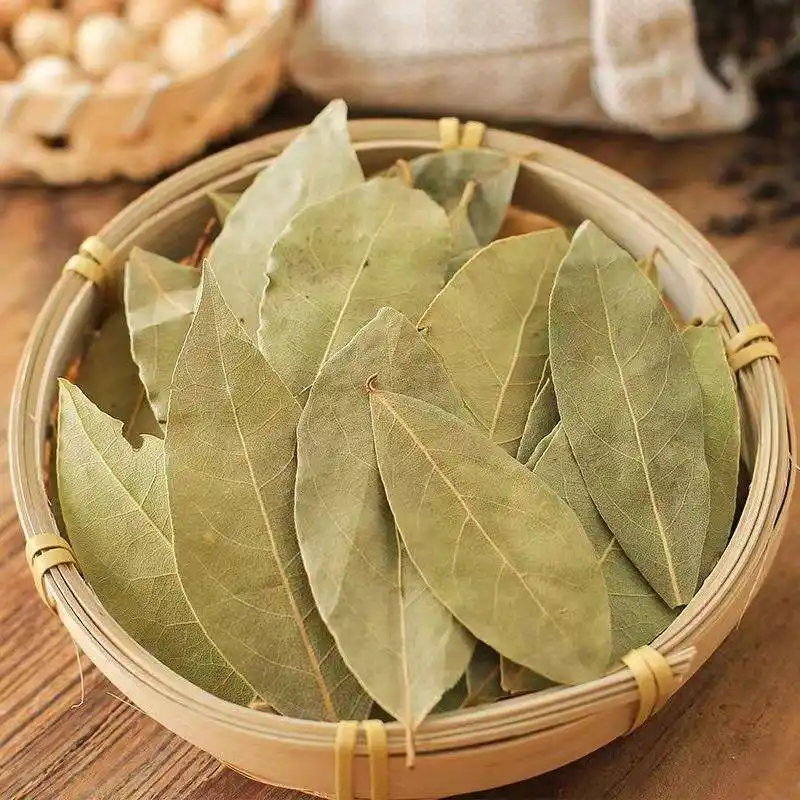 Bay Leaf (Xiang Ye): leaf color stability and what it signals about handling 2 Bay Leaf (Xiang Ye) leaf color stability and what it signals about handling