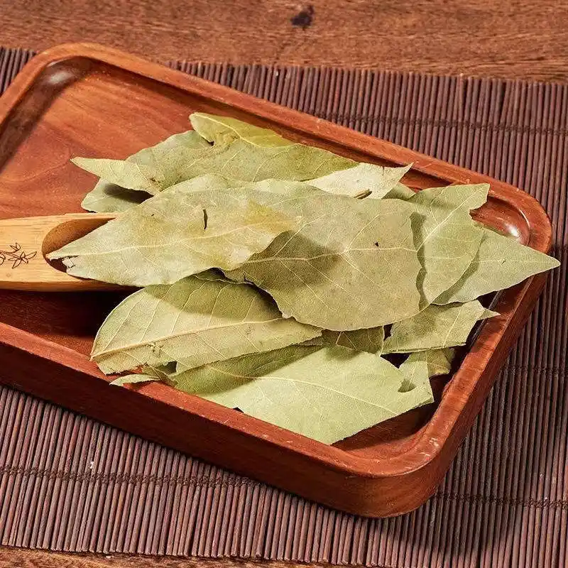 Bay Leaf (Xiang Ye): leaf color stability and what it signals about handling 3 Bay Leaf (Xiang Ye) leaf color stability and what it signals about handling
