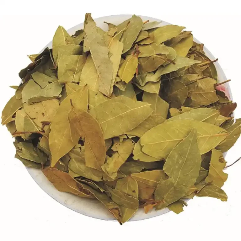 Hoja de laurel (Xiang Ye): estabilidad del color de la hoja y señales sobre su manipulación 6 Estabilidad del color de la hoja de laurel (Xiang Ye) y señales sobre su manipulación