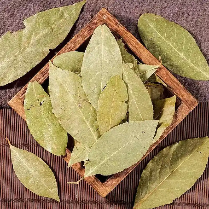 Bay Leaf (Xiang Ye): leaf color stability and what it signals about handling 1 Bay Leaf (Xiang Ye) leaf color stability and what it signals about handling