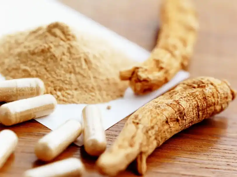 Odżywianie sportowe i regeneracja Jak łączyć astragalus, żeń-szeń i epimedium w preparatach