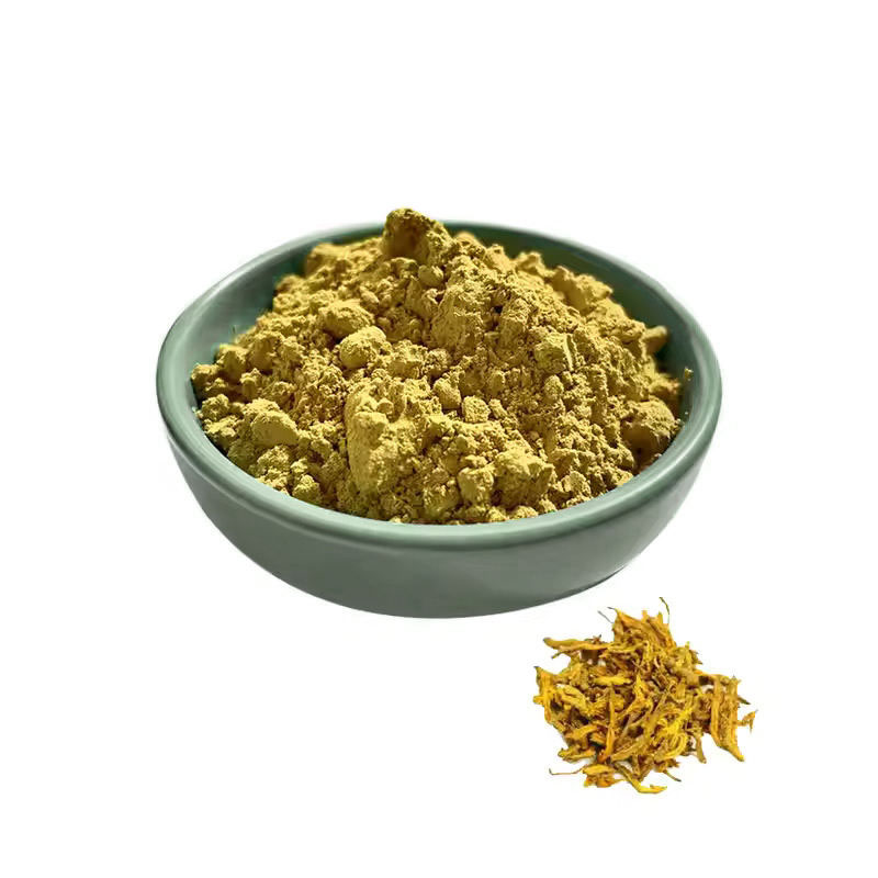 Atractylodes (Bai Zhu) Coptis Root (Huang Lian) gestione dell'amaro per progetti di bevande funzionali e tè istantaneo