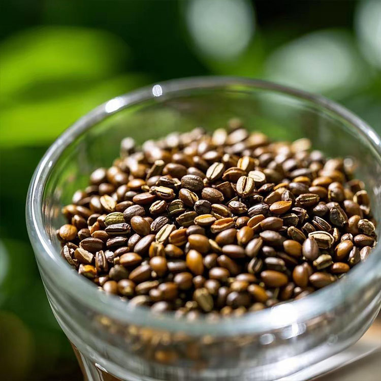 Cassia Seed (Jue Ming Zi): standardy czyszczenia, które chronią linię torebek z herbatą