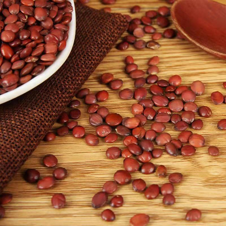 Graines de jujube (Suan Zao Ren) : taux de fractionnement et contrôle du rancissement pour une longue durée de conservation 2 Graines de jujube (Suan Zao Ren) : taux de fractionnement et contrôle de la rancidité pour une longue durée de conservation