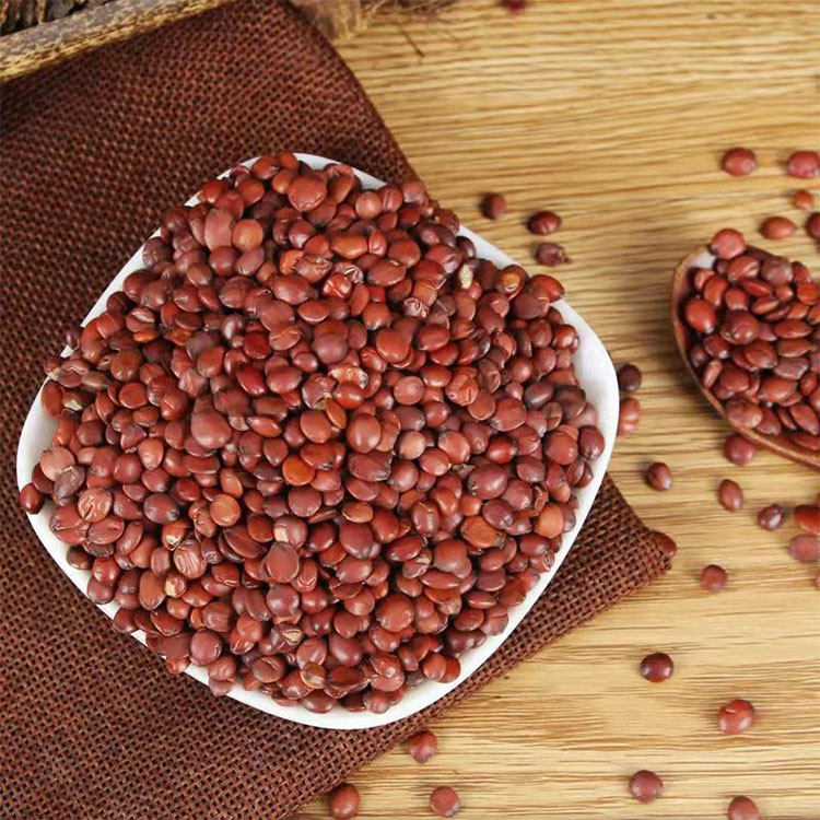Graines de jujube (Suan Zao Ren) : taux de fractionnement et contrôle du rancissement pour une longue durée de conservation 3 Graines de jujube (Suan Zao Ren) : taux de fractionnement et contrôle de la rancidité pour une longue durée de conservation