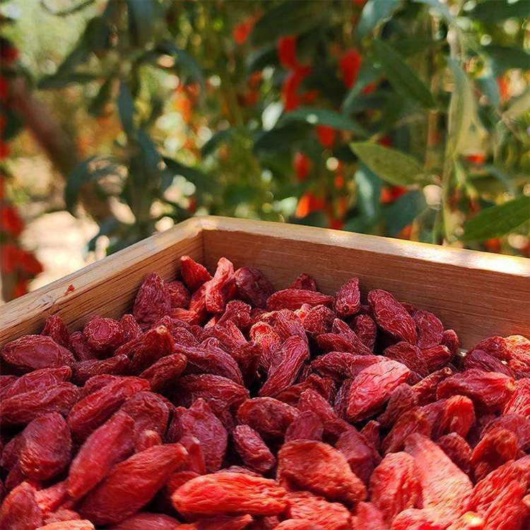 Goji Berries