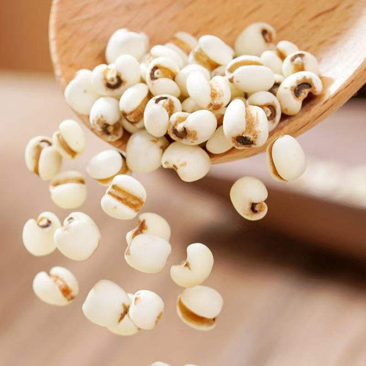 Coix Seed Bulk Supply: Food-Grade and Herbal-Grade Differences 4 Coix Seed Bulk