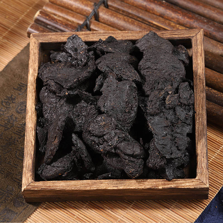 Rehmannia Root