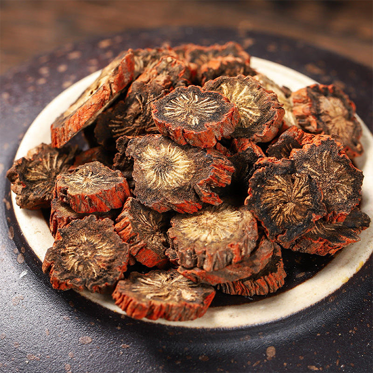 Salvia Root