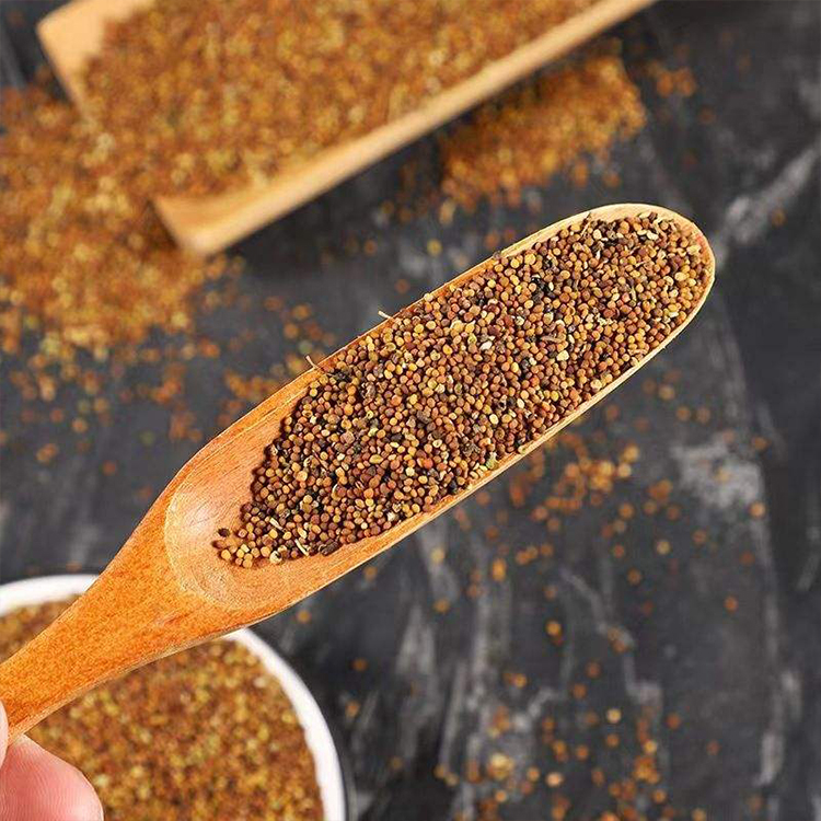 Cuscuta Seed