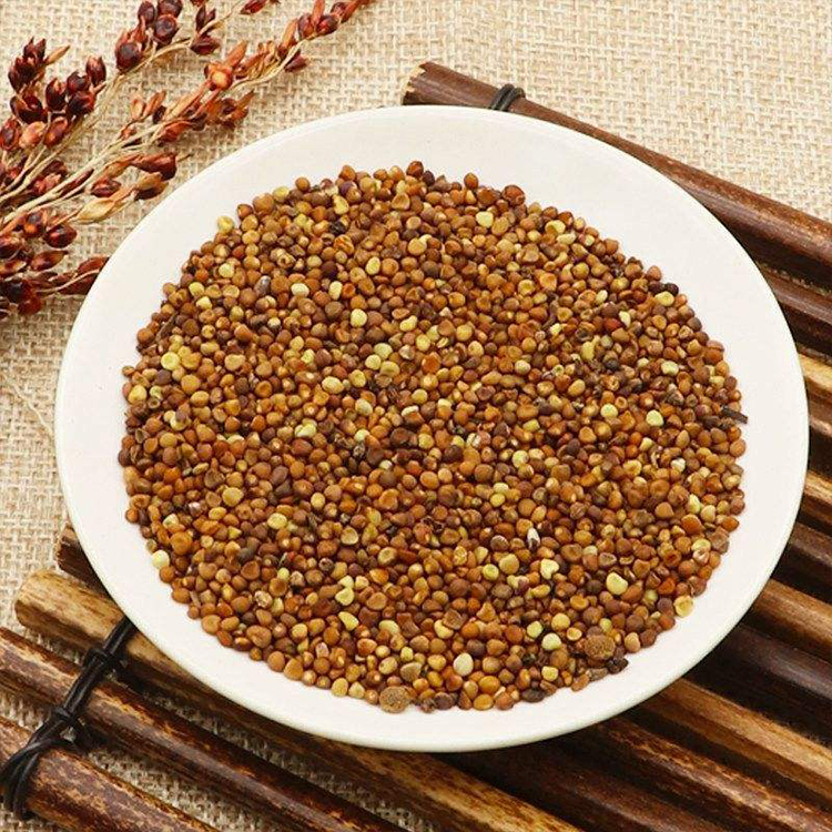 Cuscuta Seed