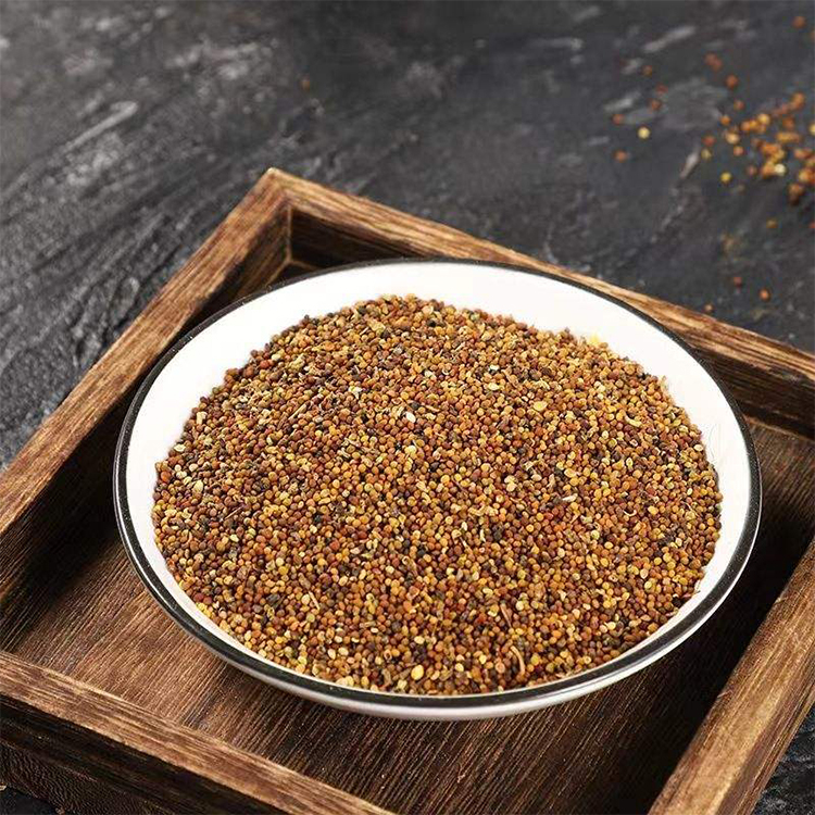 Cuscuta Seed