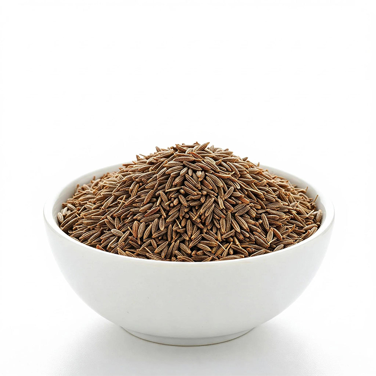 Fennel Seed Wholesale Guide Spice and Herbal Use Differences