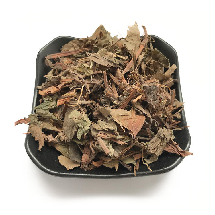Guida all'acquisto all'ingrosso di menta di pesce per i produttori di tisane ed estratti