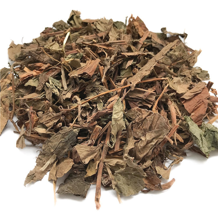 Guida all'acquisto all'ingrosso di menta di pesce per i produttori di tisane ed estratti