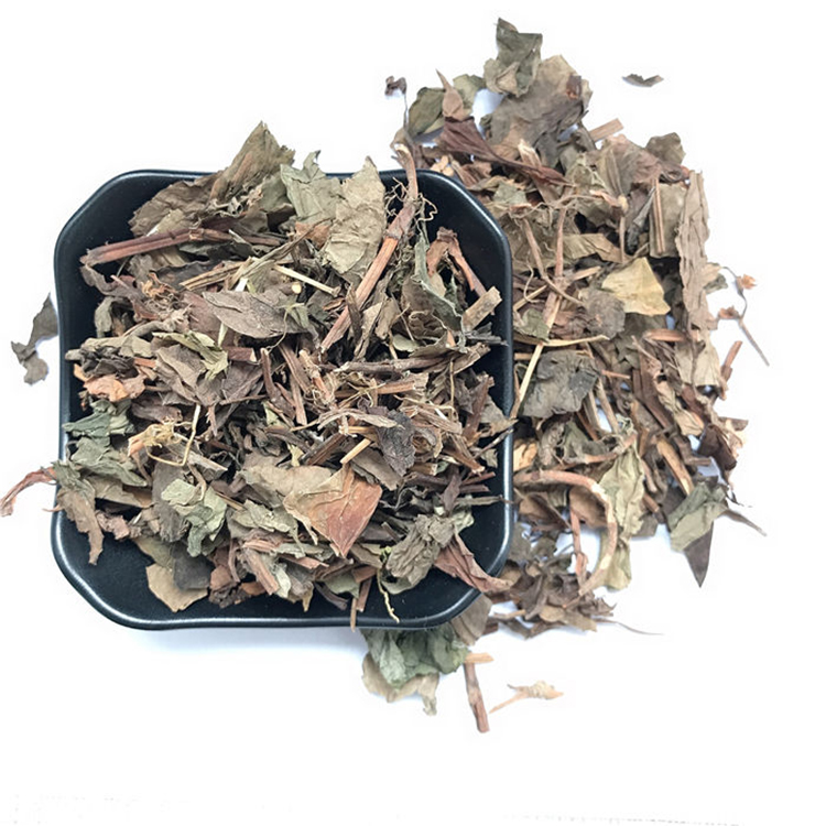 Guida all'acquisto all'ingrosso di menta di pesce per i produttori di tisane ed estratti