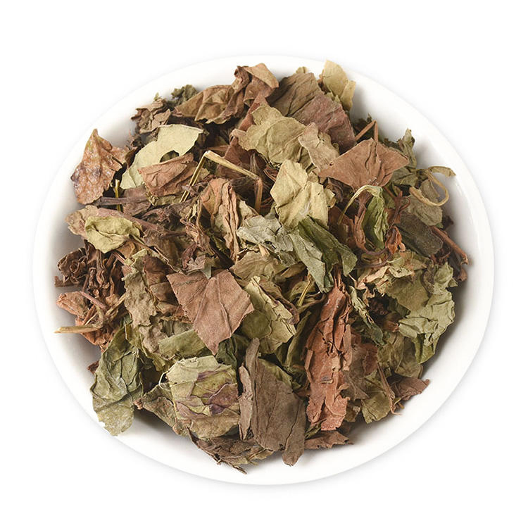 Guide d'achat en gros de menthe poivrée pour les fabricants de tisanes et d'extraits à base de plantes