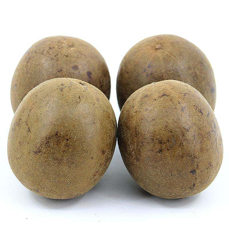 Monk Fruit Bulk Sourcing for Herbal Tea and Beverage Brands
