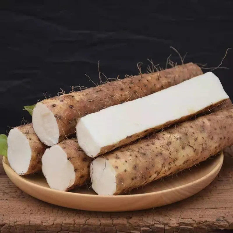 Chinese Yam Bulk Sourcing for Functional Food and Herbal Products