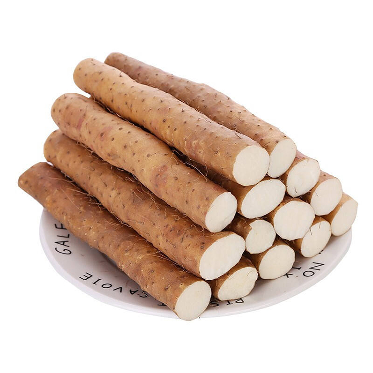 Chinese Yam Bulk Sourcing for Functional Food and Herbal Products