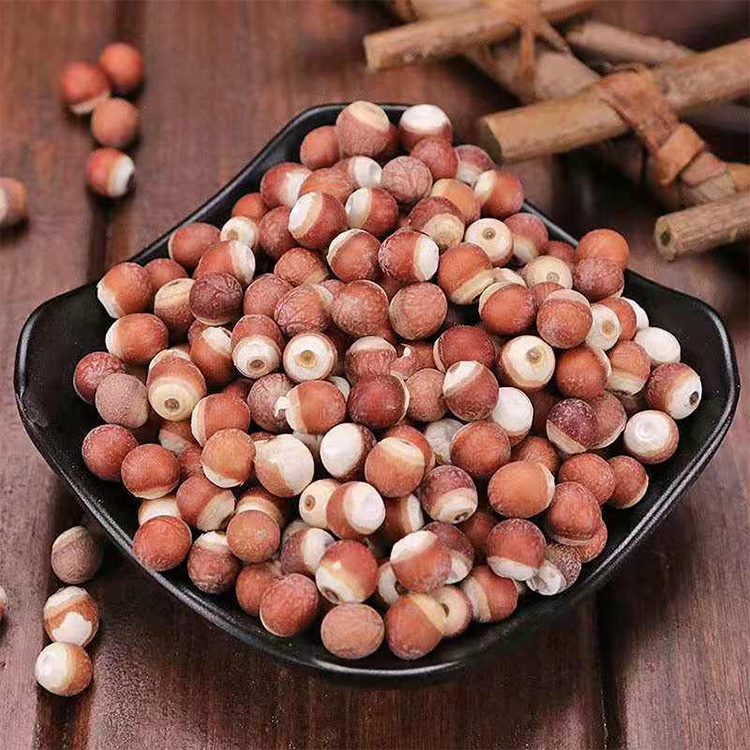 Fox Nut Sourcing Guide for Functional Food and Herbal Buyers