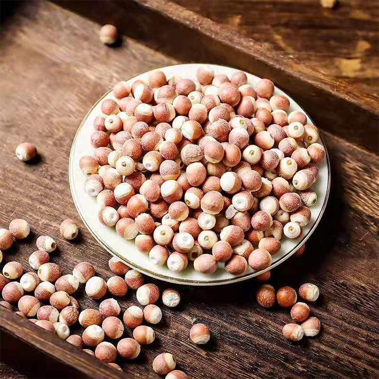 Fox Nut Sourcing Guide for Functional Food and Herbal Buyers