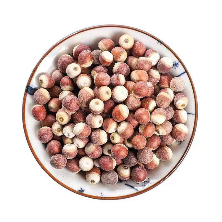 Fox Nut Sourcing Guide for Functional Food and Herbal Buyers