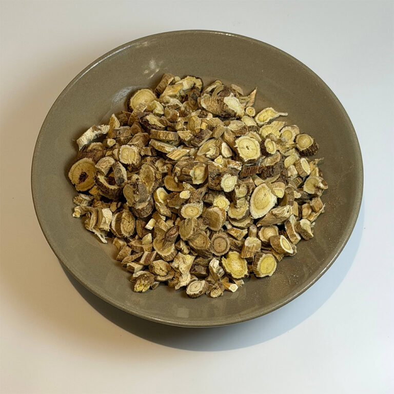Astragalus-Wurzelscheiben